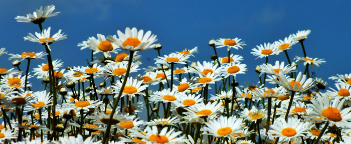 Urologe Aktuelles Hagen Dr. Med. A. Shahpasand